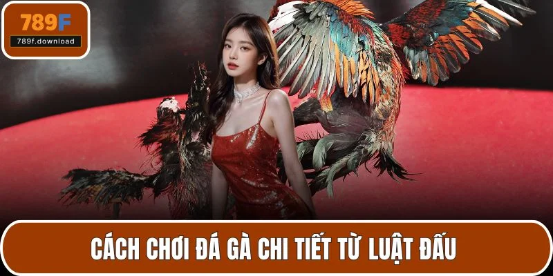 cách chơi đá gà